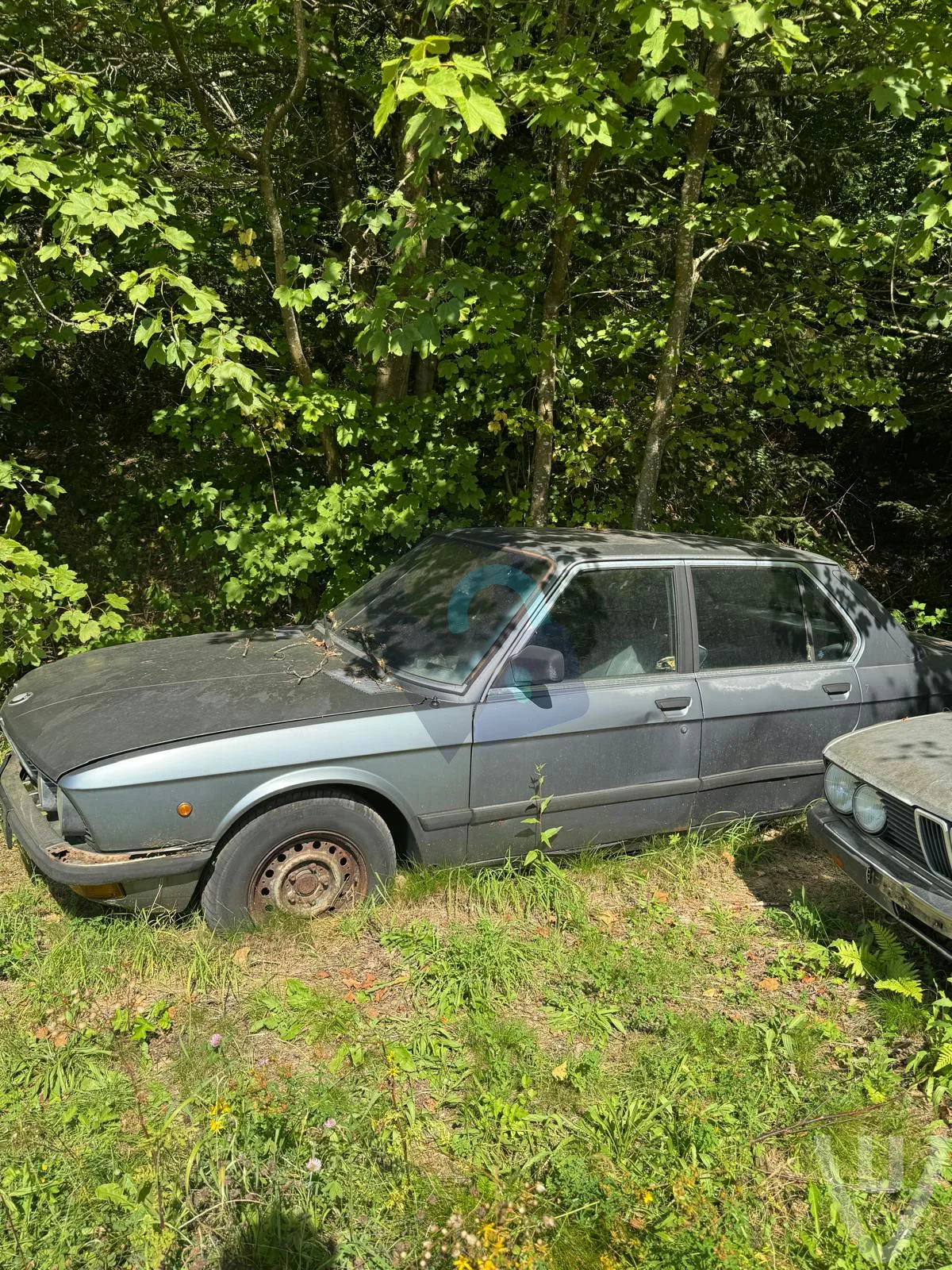 BMW Forest urban exploration location in Belgium - Image 5