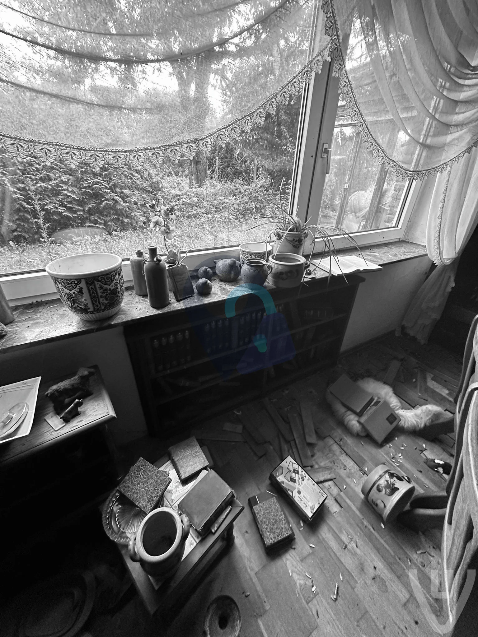 Haus der weißen Katze urban exploration location in Germany - Image 3