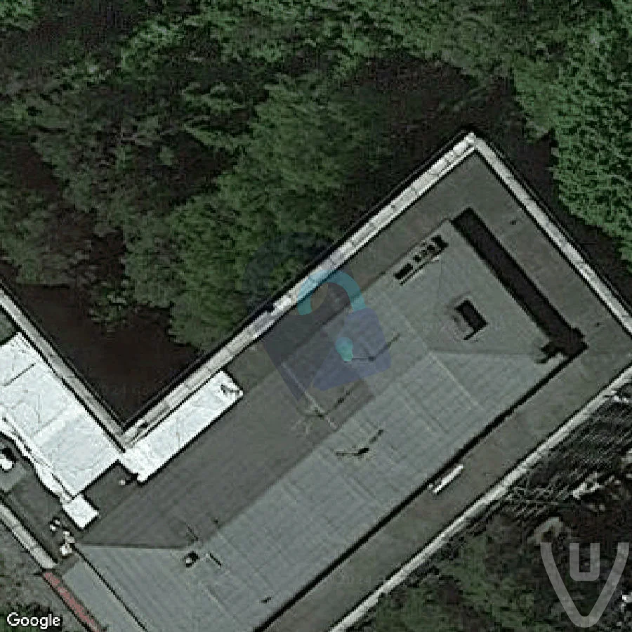 SCC Socialist School