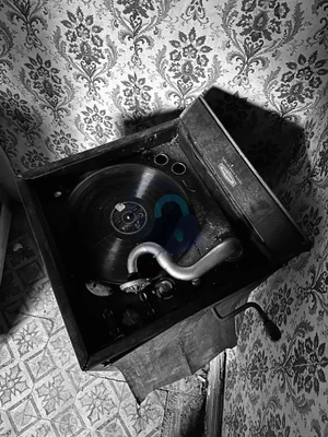 Maison Gramophone urban exploration location in Belgium - Image 4