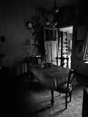 Maison Gramophone urban exploration location in Belgium - Image 3