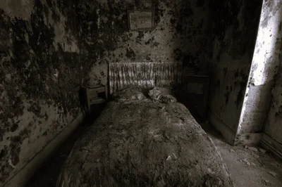 Demeure Champignons / Maison Champignons urban exploration location in France - Image 2