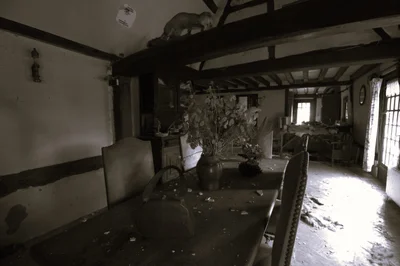 Maison du Taxidermiste urban exploration location in France - Image 2