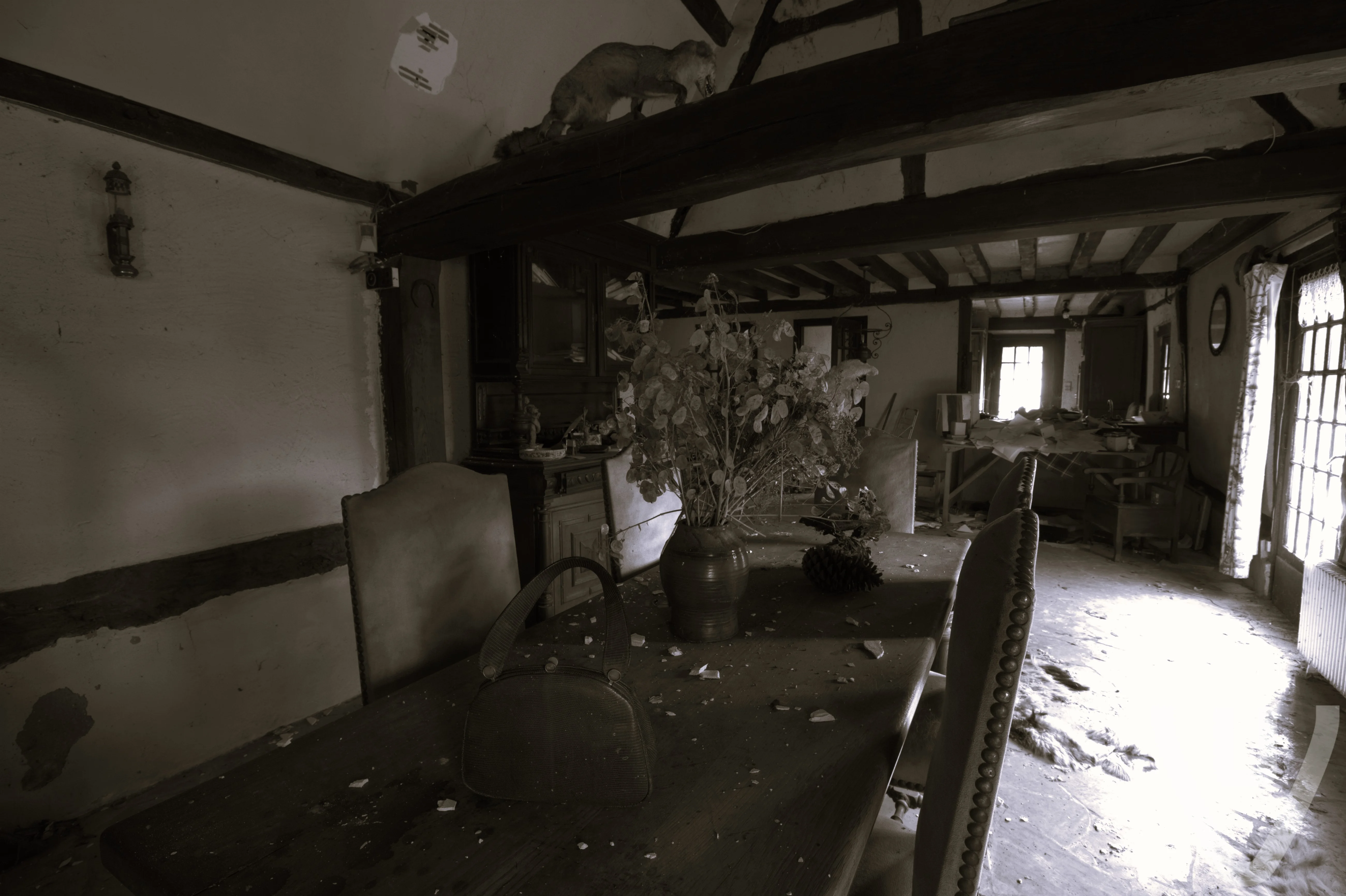 Maison du Taxidermiste urban exploration location in France - Image 2