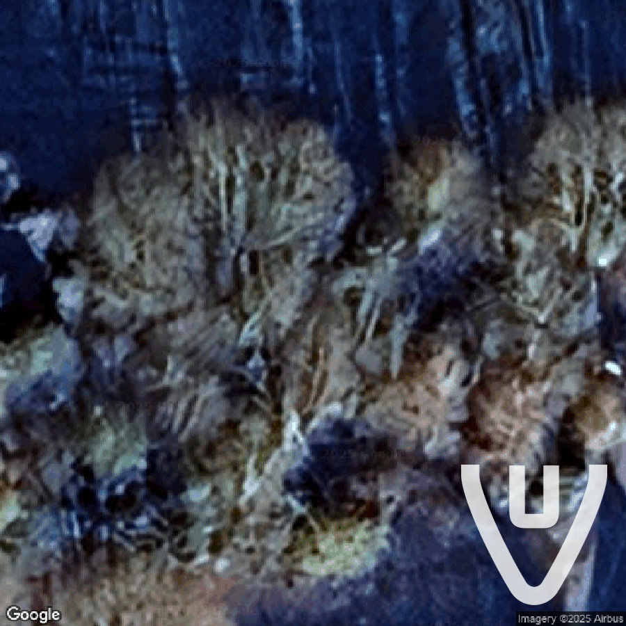 Villa Muhr abandoned location in North-Rhine-Westphalia, North-Rhine-Westphalia, Germany - House for urban exploration