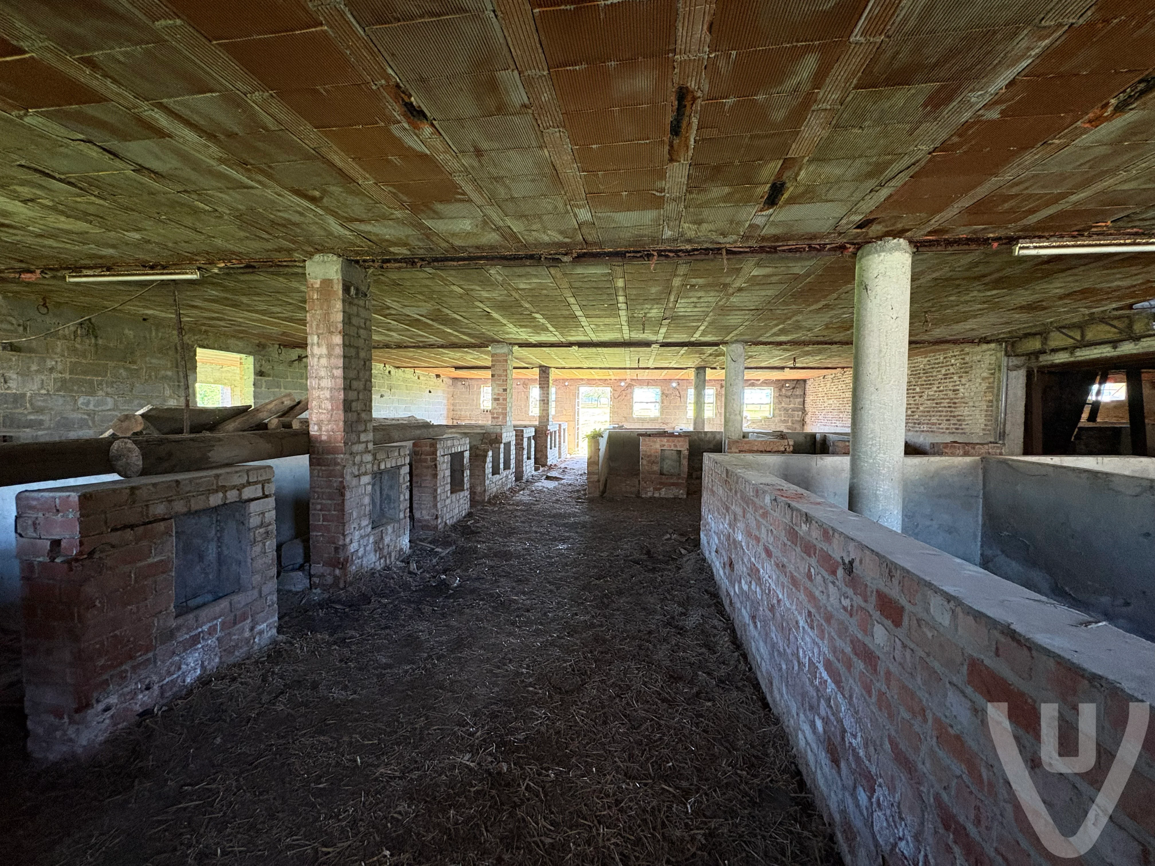 Bingo Farm urban exploration location in Belgium - Image 3