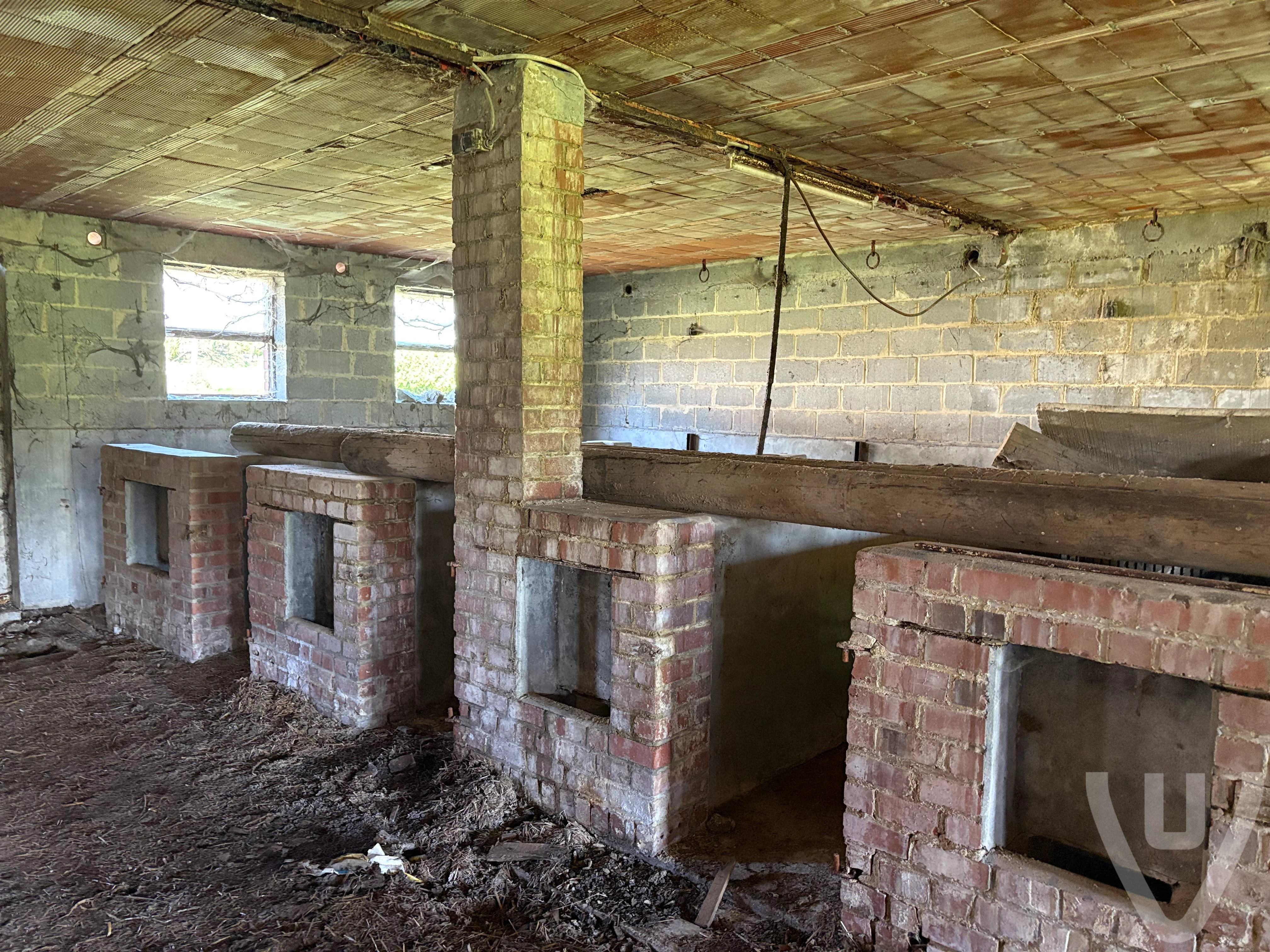 Bingo Farm urban exploration location in Belgium - Image 4