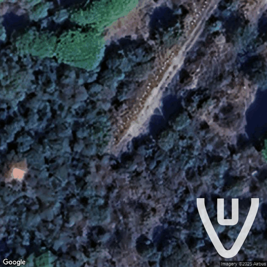 Overgrown Camping Roc