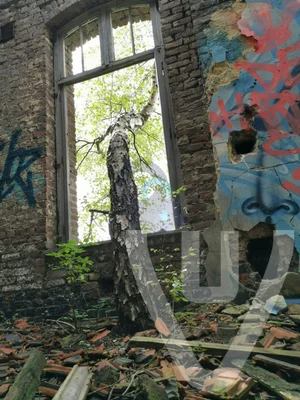 Fort De La Chartreuse urban exploration location in Belgium - Image 12