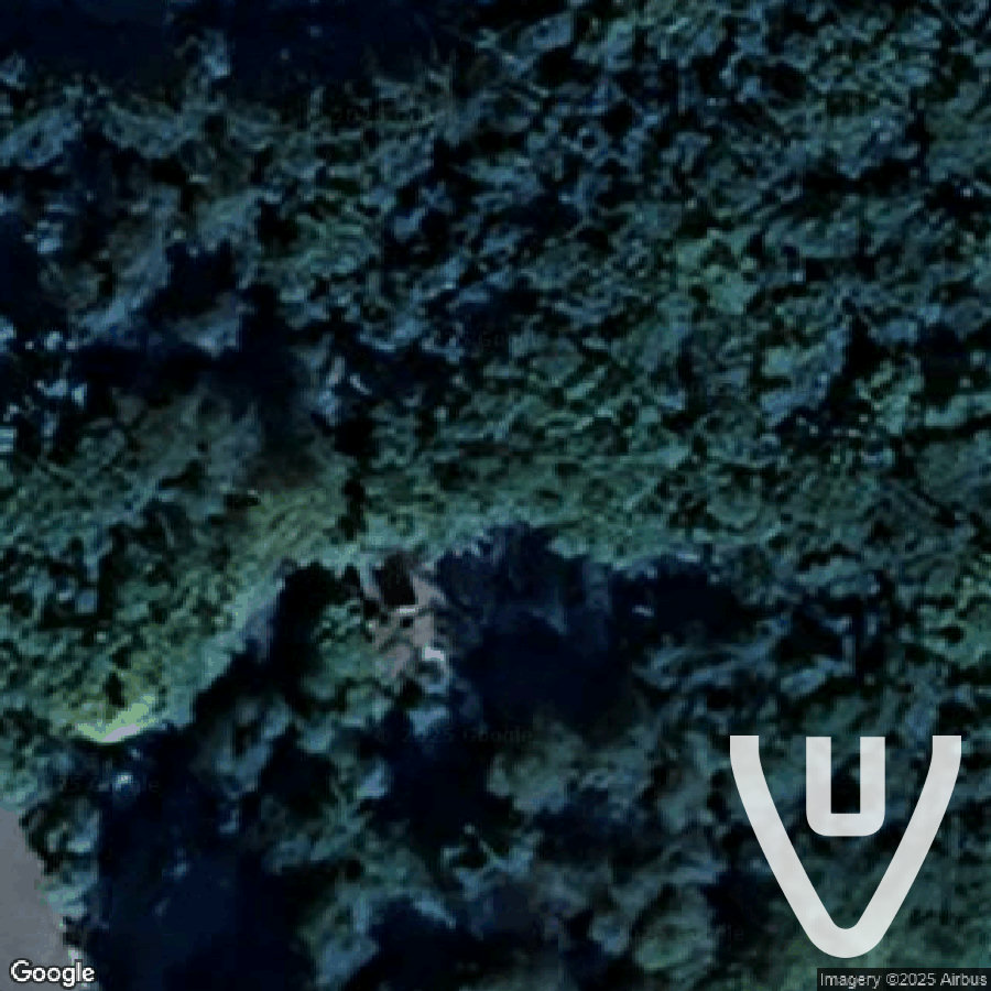 Maison de la Dessinatrice