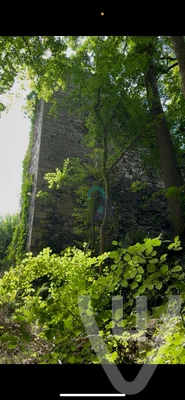Ruines du Chateau d'Ambleve urban exploration location in Belgium - Image 4