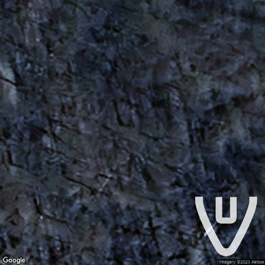 La Foret aux Volkswagen Coccinelle