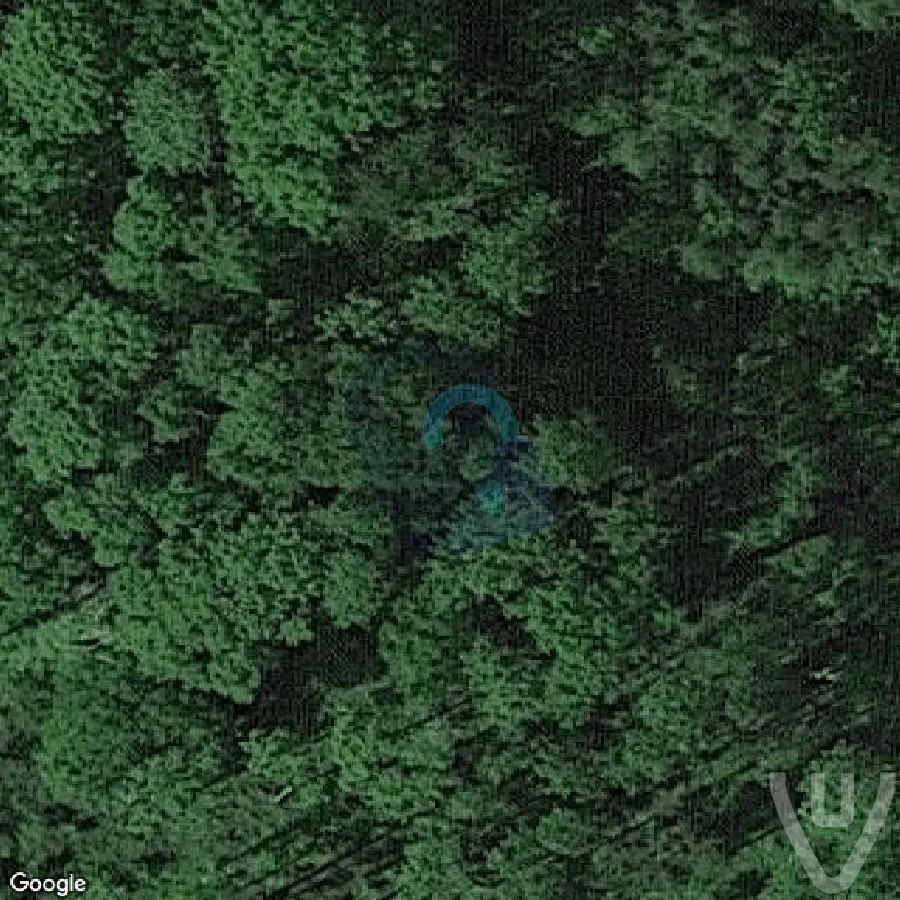 La Foret aux Volkswagen Coccinelle abandoned location in Wallonia, Wallonia, Belgium - Cars for urban exploration