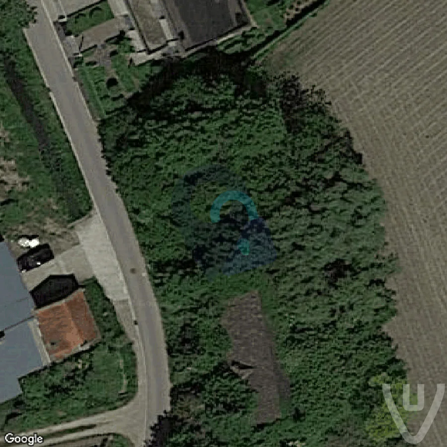 Goats in the Woods abandoned location in Flanders, Flanders, Belgium for urban exploration