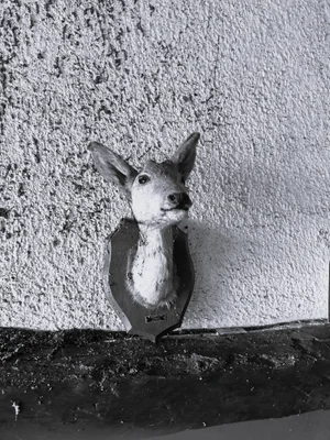 Maison du Nudiste urban exploration location in France - Image 3