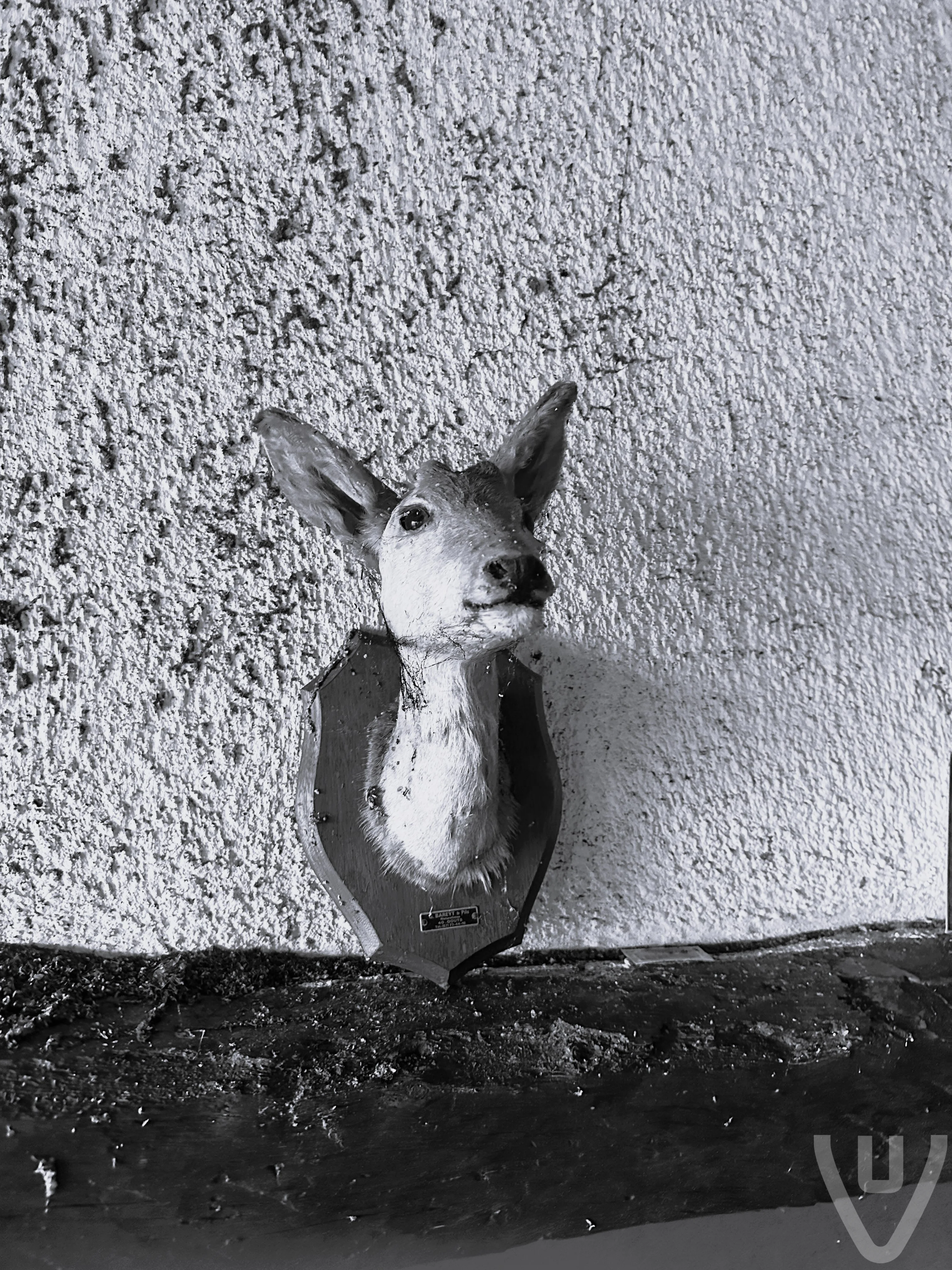 Maison du Nudiste urban exploration location in France - Image 3