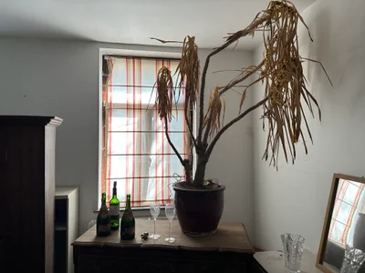 Tribal House urban exploration location in Belgium - Image 5