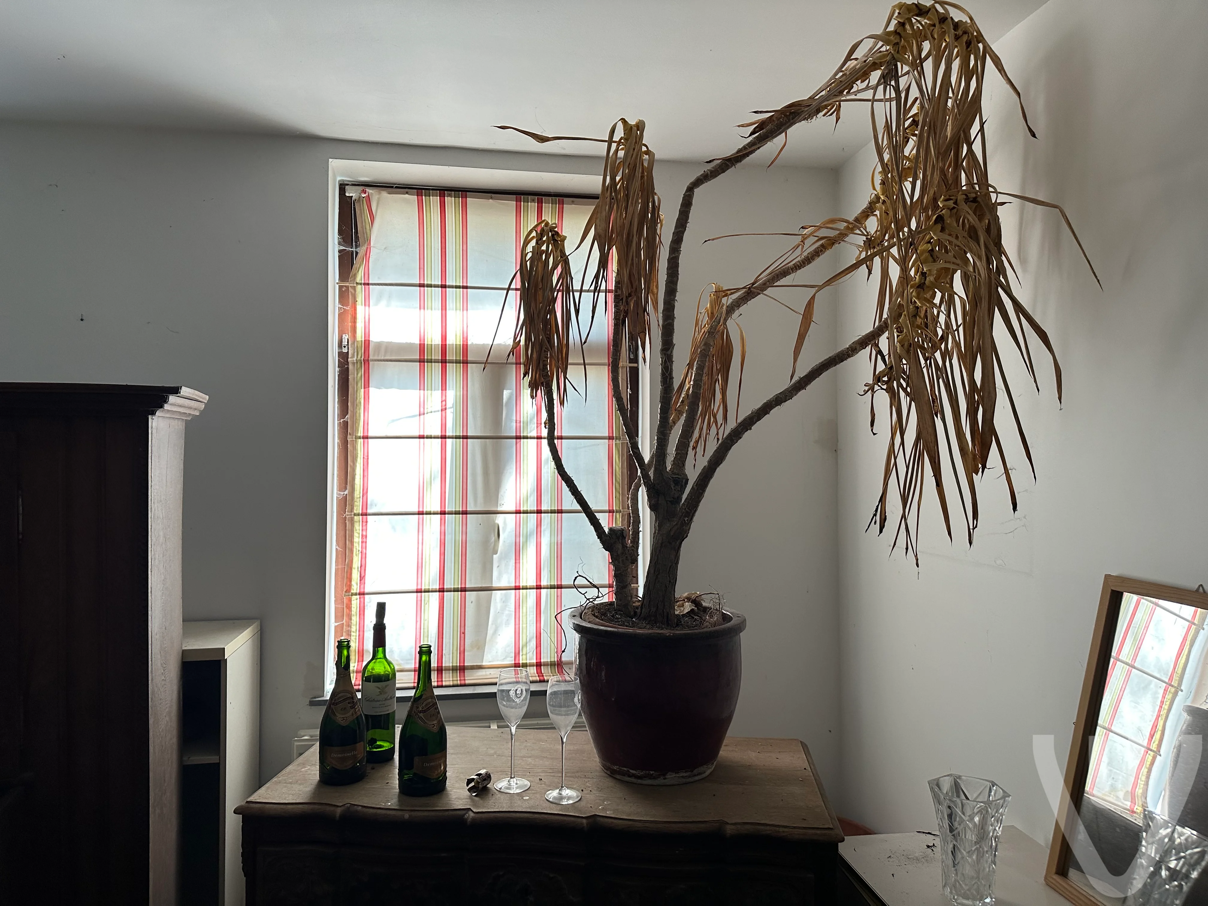 Tribal House urban exploration location in Belgium - Image 5