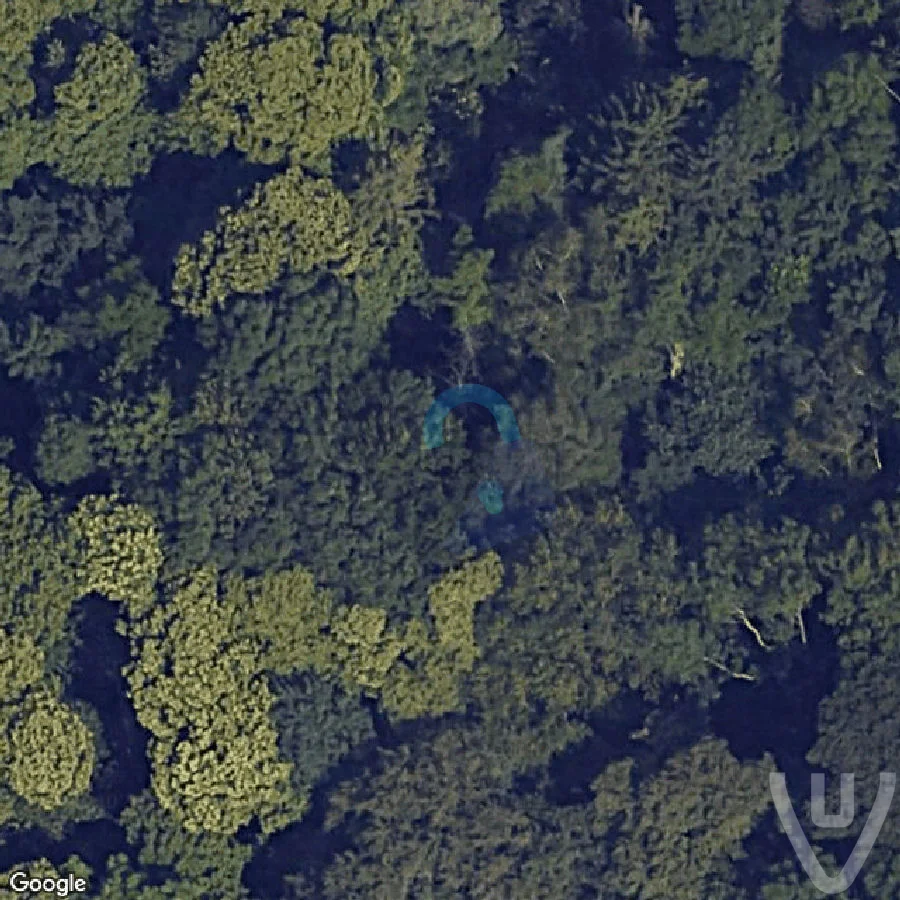 Yellow Cars abandoned location in Flanders, Flanders, Belgium - Cars for urban exploration