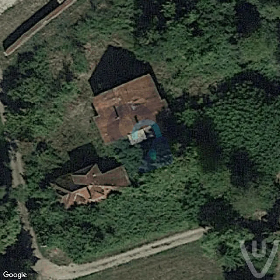 Jungle And Liana Houses abandoned location in Grand Est, Grand Est, France - House for urban exploration