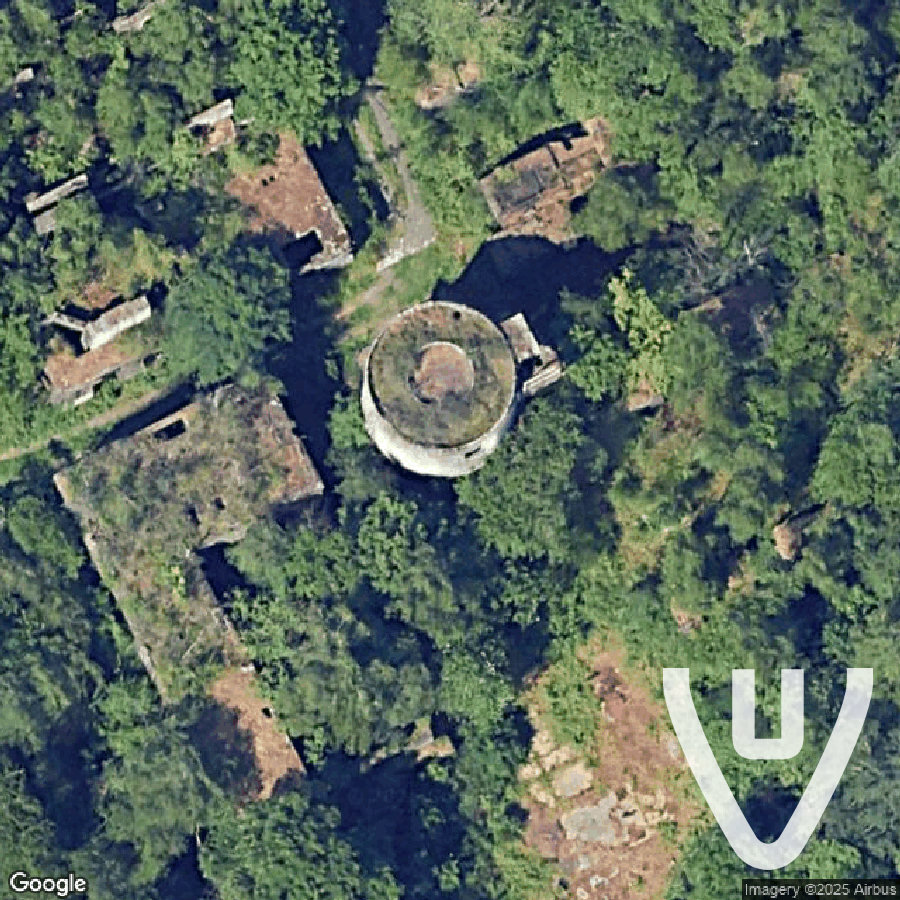 The Forest Factory / Usine forêt