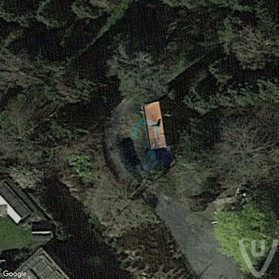 Club Madame abandoned location in Flanders, Flanders, Belgium - Club for urban exploration