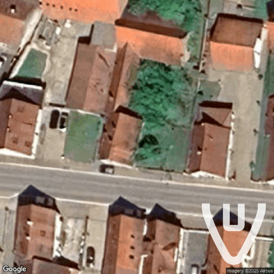 Maison Fanatique des oiseaux