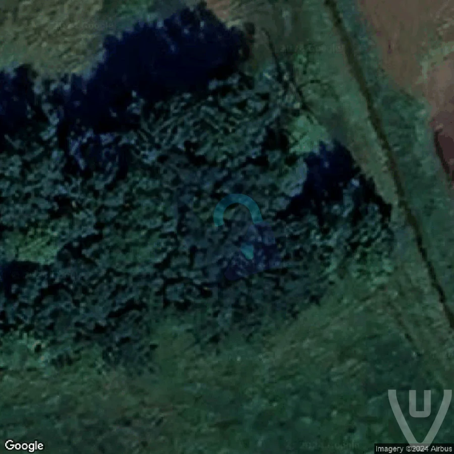 The Black Bus abandoned location in Flanders, Flanders, Belgium - Vehicle for urban exploration