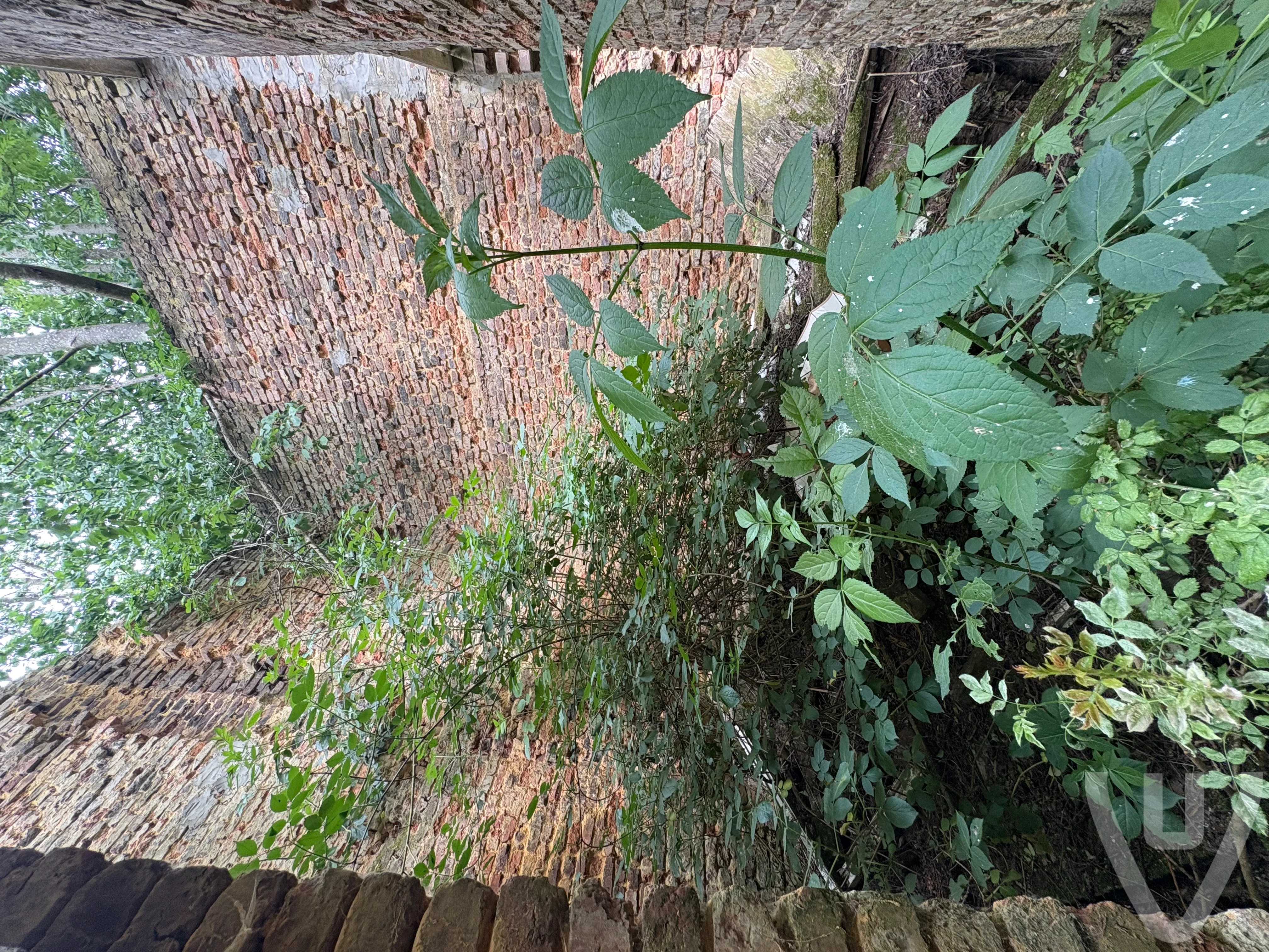 Hidden Ruine urban exploration location in Belgium - Image 2