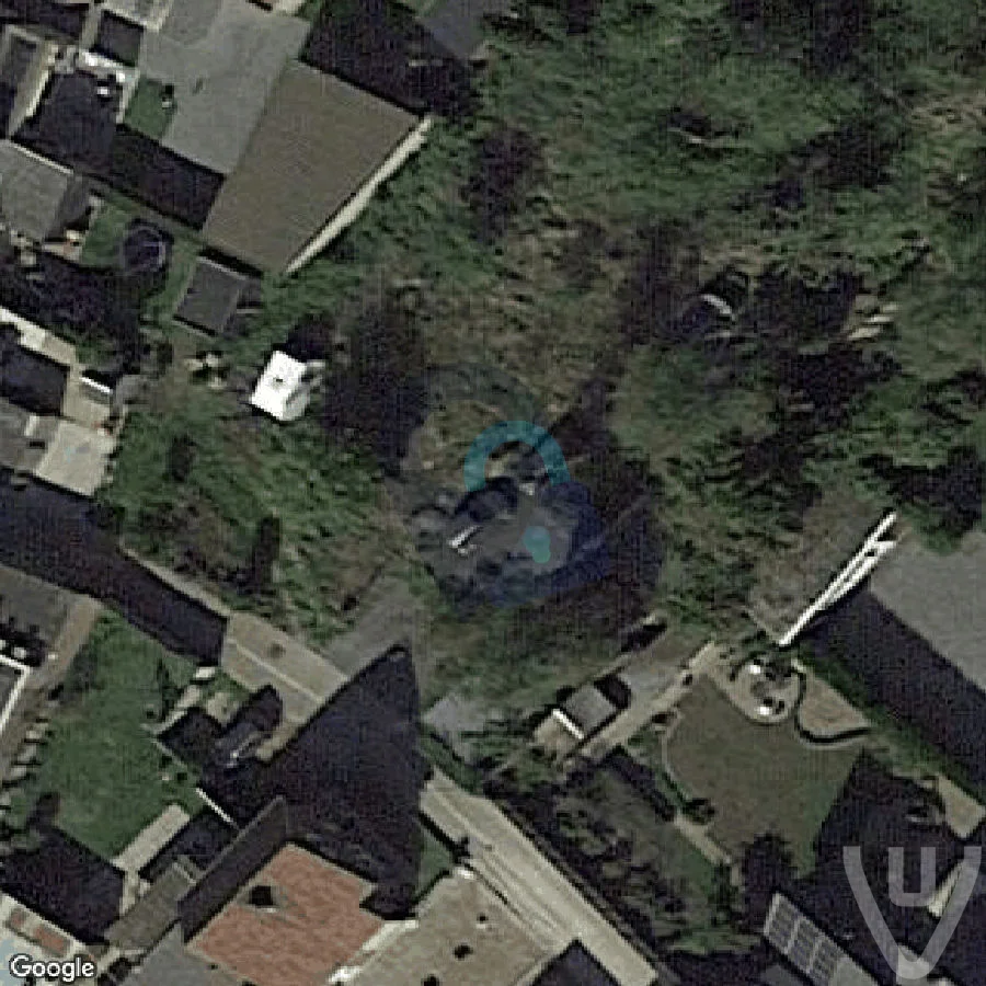 Jungle Mercedes abandoned location in Flanders, Flanders, Belgium - Vehicle for urban exploration