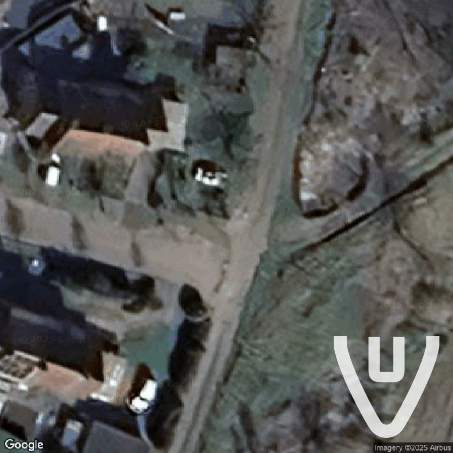 The Car under the Tree