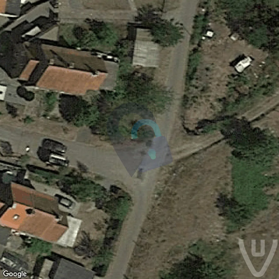 The Car under the Tree abandoned location in Flanders, Flanders, Belgium - Cars for urban exploration