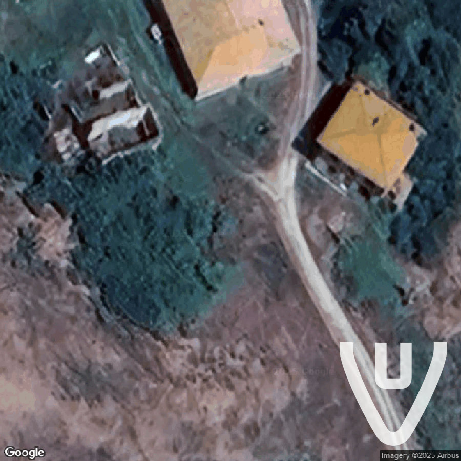 Casas Gialla Infestata