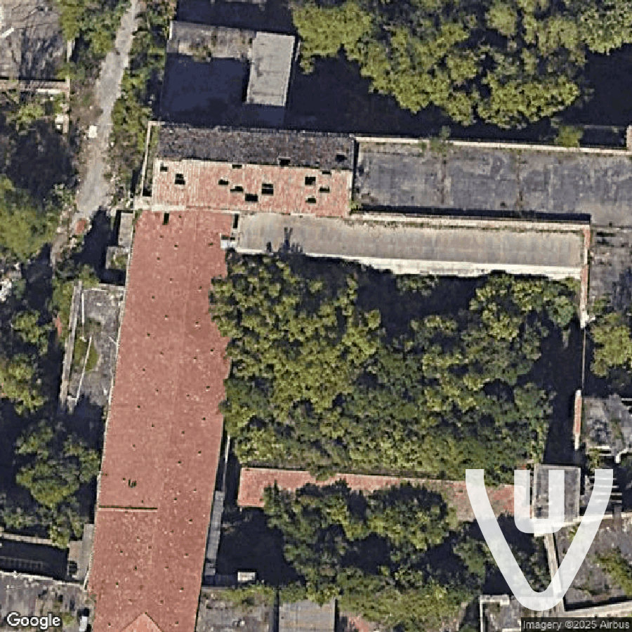 Undead Asylum Campania