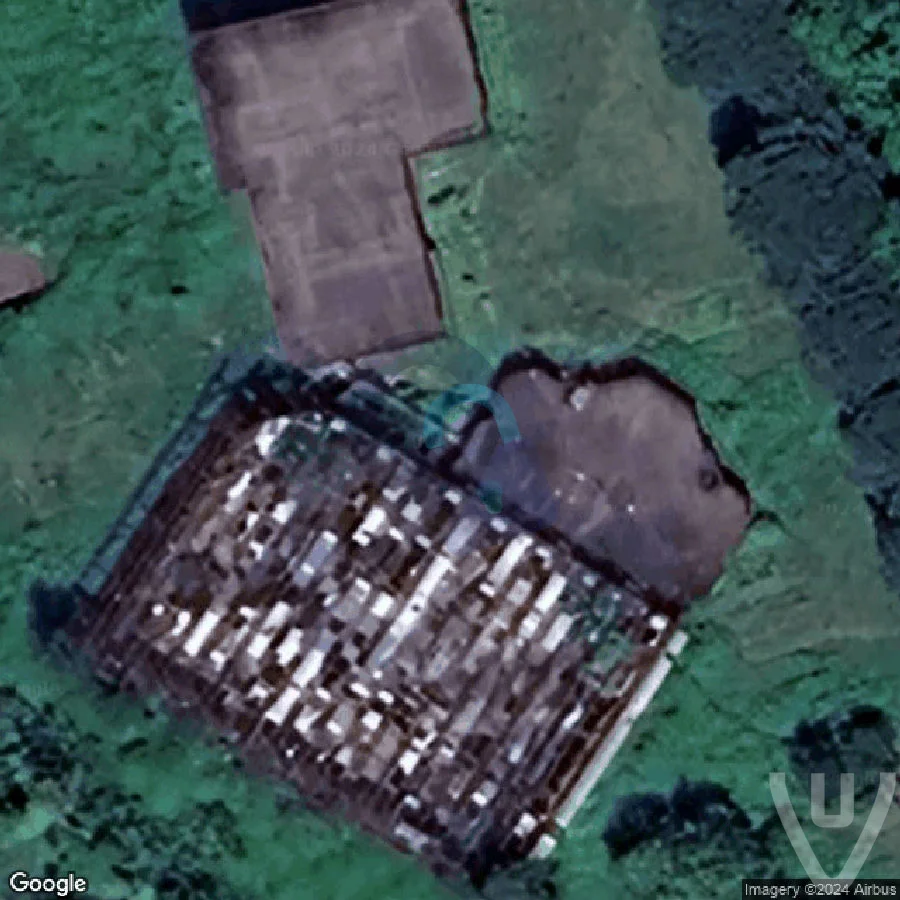 Jungle Pool abandoned location in Tuscany, Tuscany, Italy - House for urban exploration