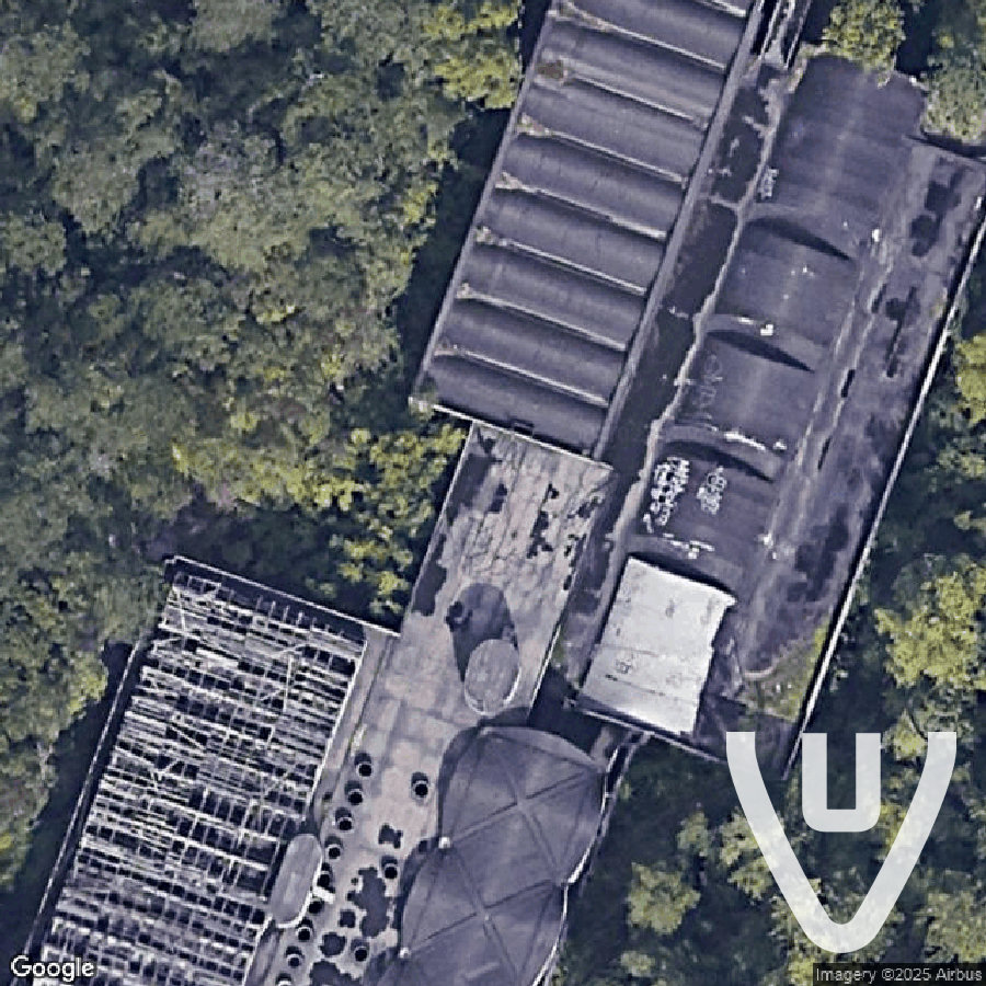 Il gigante dei boschi