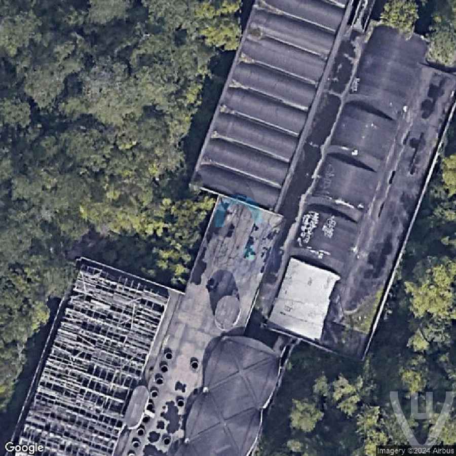 Il gigante dei boschi