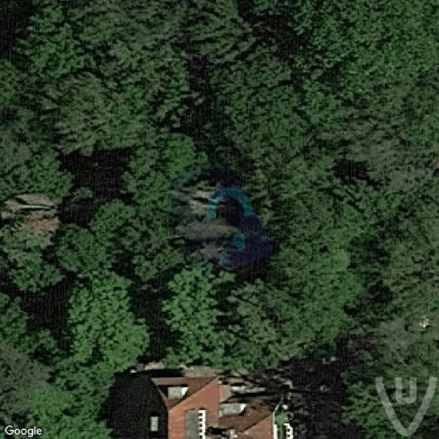 Lost Oldtimer abandoned location in North Brabant, North Brabant, Netherlands - Cars for urban exploration