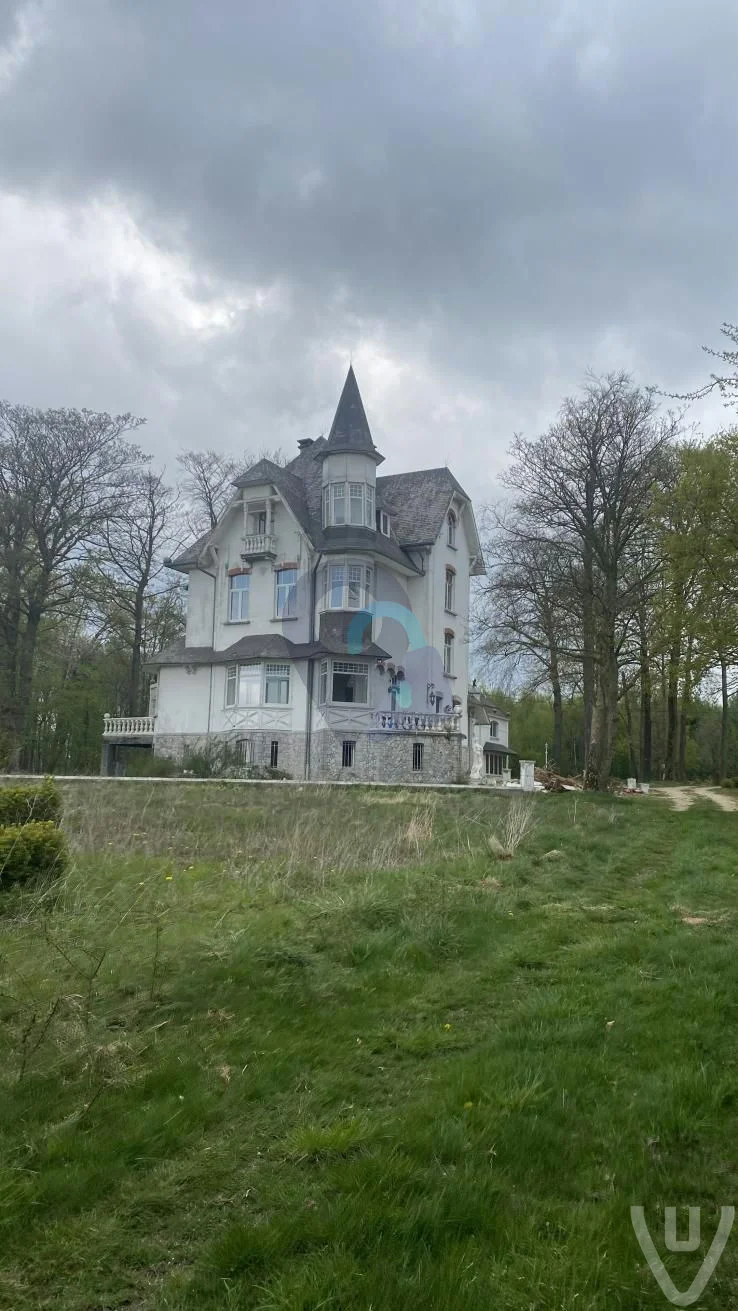Maffia Chateau / Maffia Villa urban exploration location in Belgium - Image 3