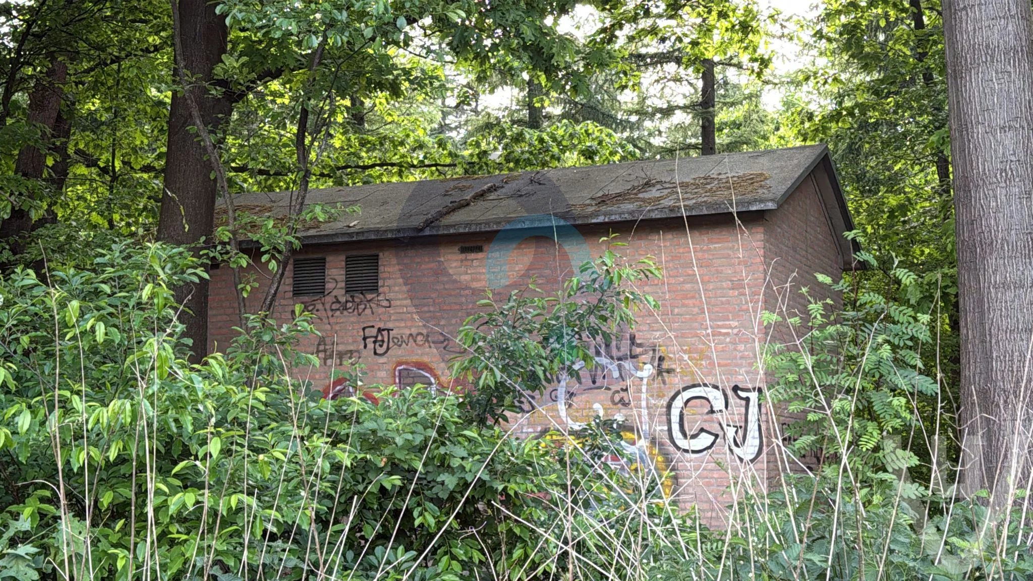 Restaurant Ruine OA urban exploration location in Netherlands - Image 4