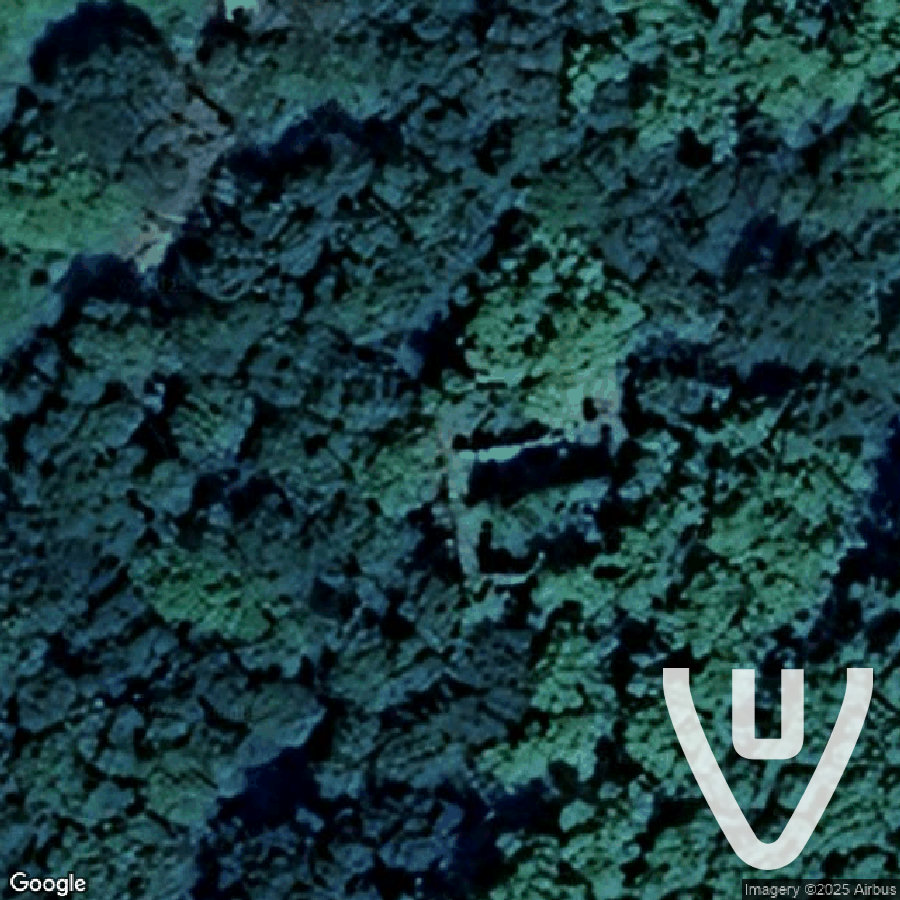 Les anciens thermes dans la forêt / The Old Therme in the Forest