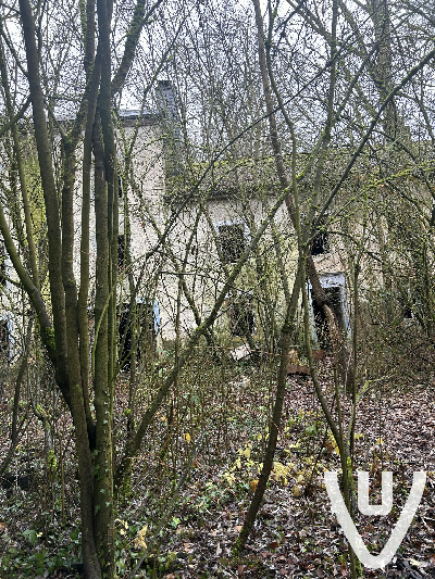 Maison Greiveldinger