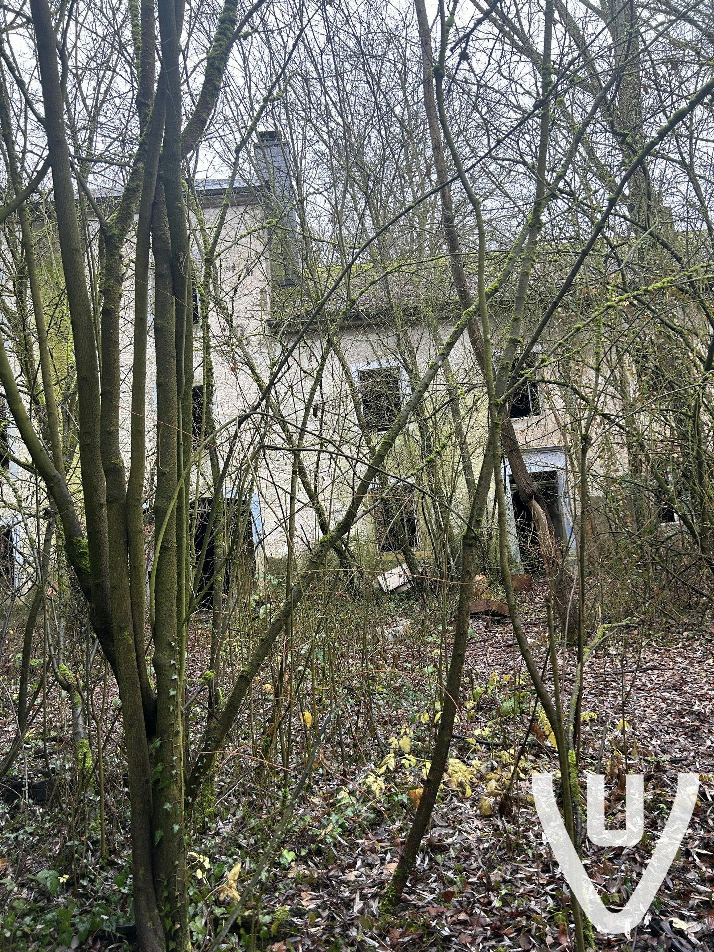 Maison Greiveldinger