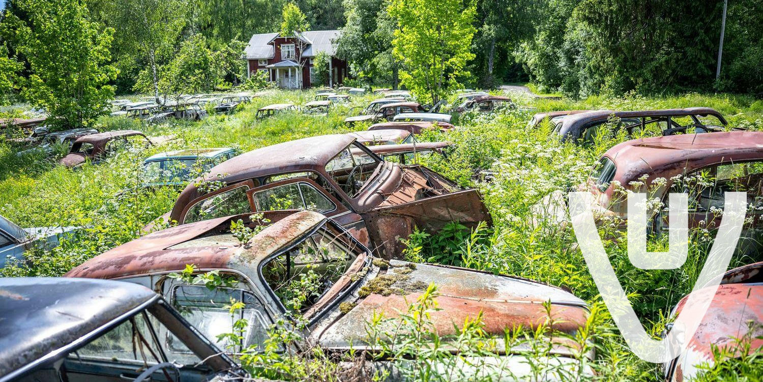 Skrotupplag Båstnäs
