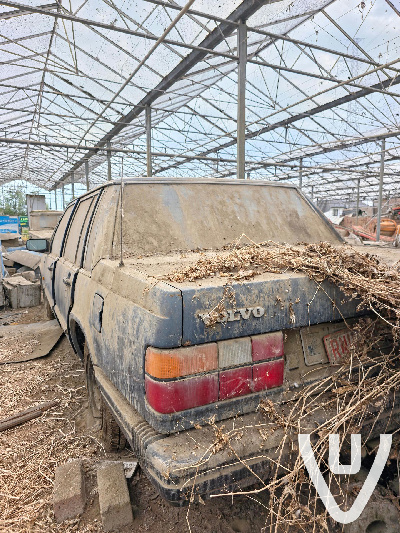 Greenhouse B
