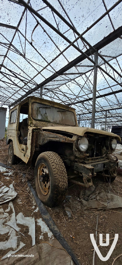 Greenhouse B