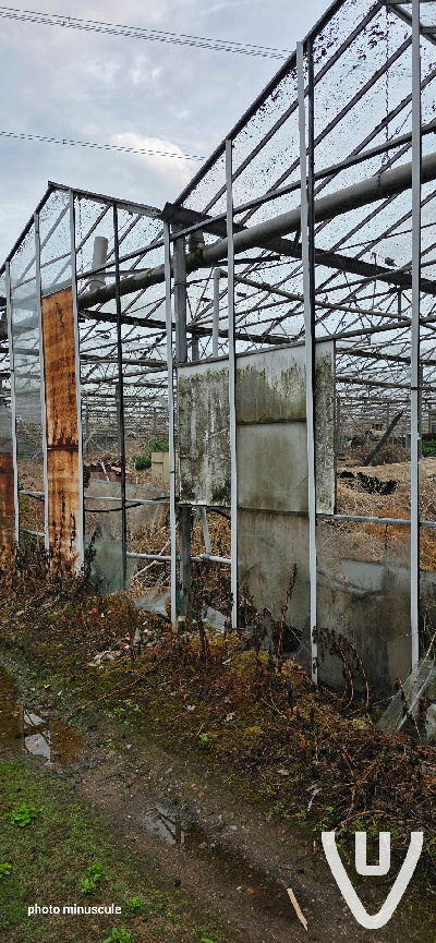 Greenhouse B