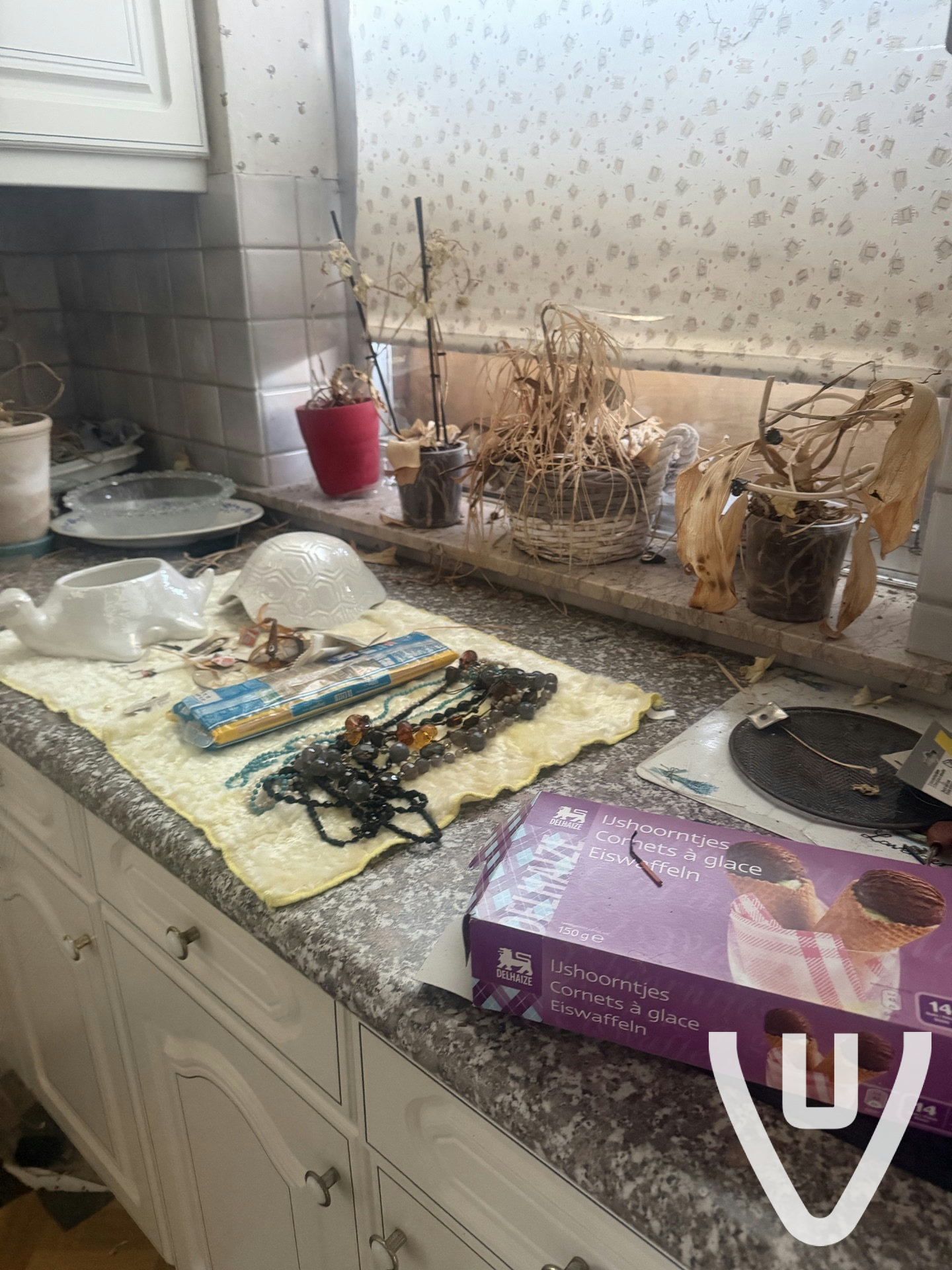 Maison Filou / Lonely House