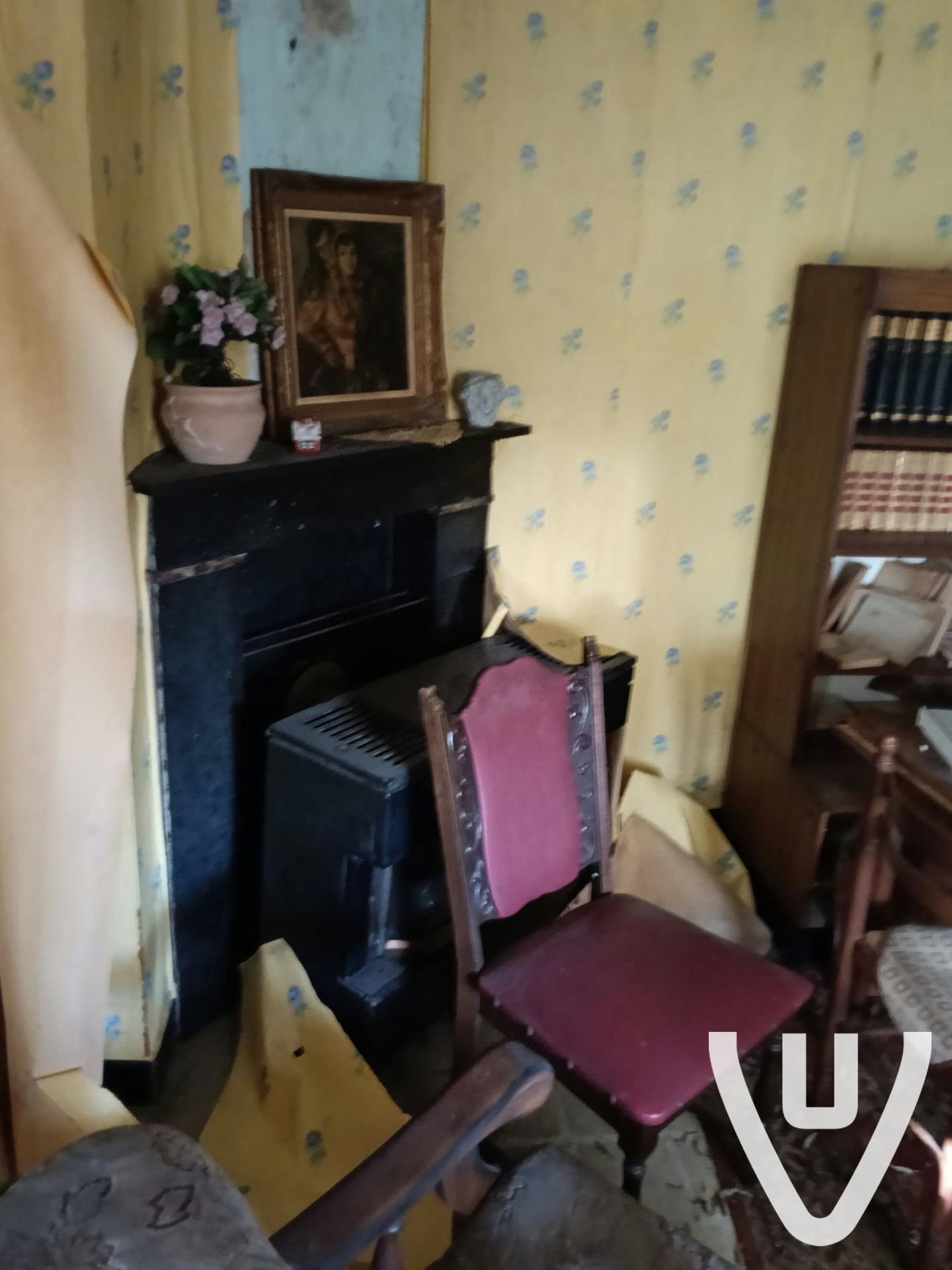 Community photo of Maison Squirrel in Belgium by Margid - Photo 5