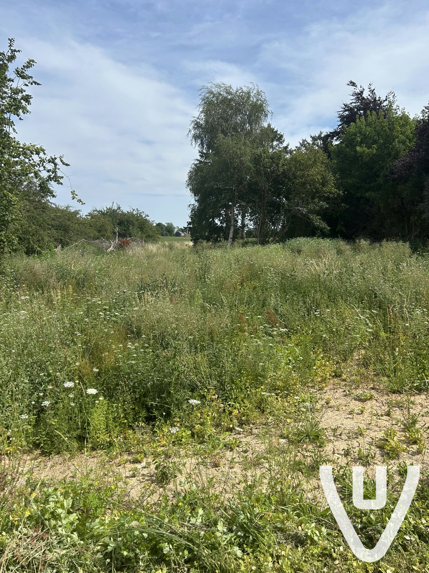 Location report evidence